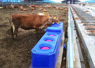 أحواض شرب الماشية البلاستيكية ذات التدفق المتجاوب لشرب حوض روتومولدينج