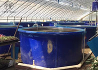 المنتجات M5000L Rotomolding ، منفتح الأعلى التعميم الأزرق 1300 جالون Aquaponics خزان المياه